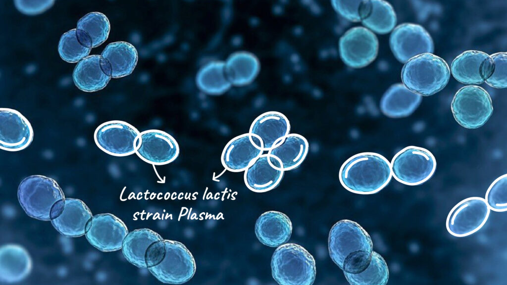 Clean and safe Renéra Collagen Phyto under GMP standards, supporting Low Tox Living.