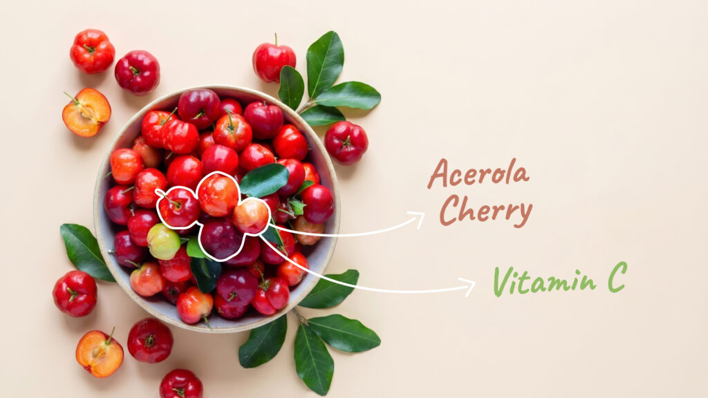 Renéra Collagen Phyto bottle next to acerola cherries for a clean Low Tox Living.