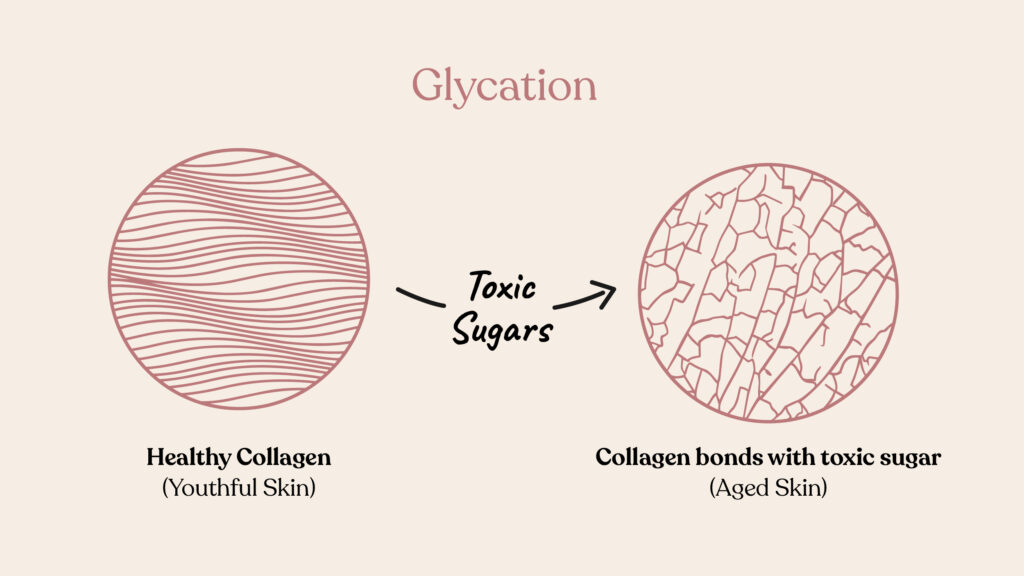 How Glycation impact to your skin