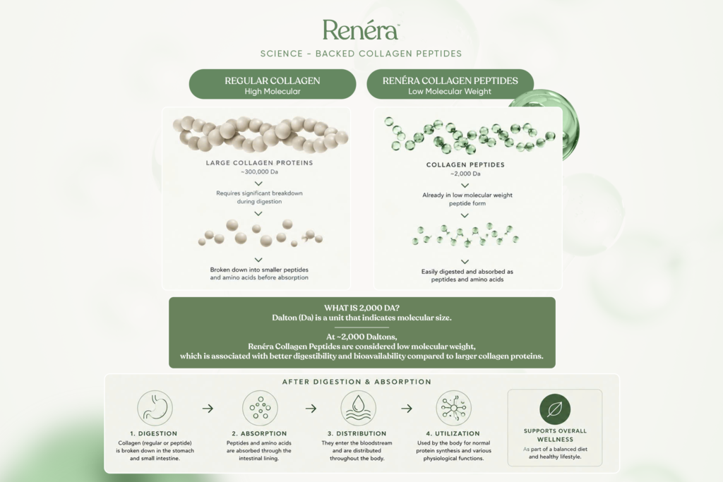 Low-Molecular-Weight-Marine-Collagen.-The-Science-of-Glow-scaled
