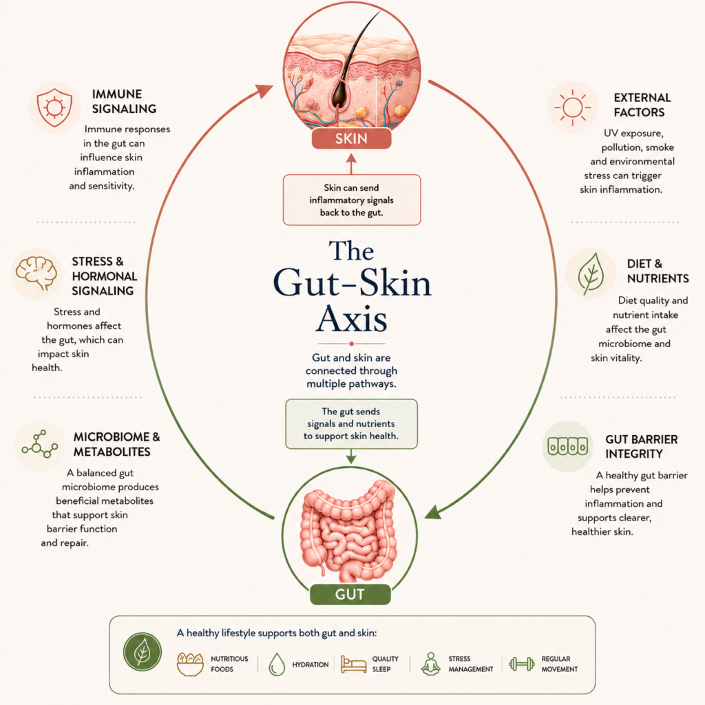 Postbiotics vs Probiotics: What’s the Difference?